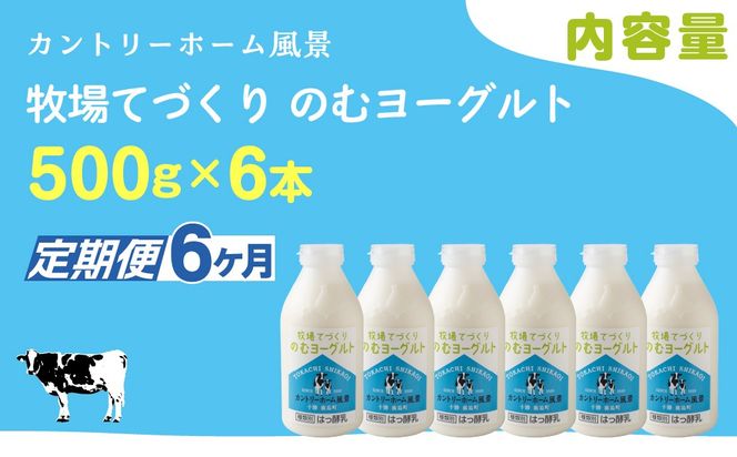 【定期6ヶ月】のむヨーグルト 500g ×6 SKB049