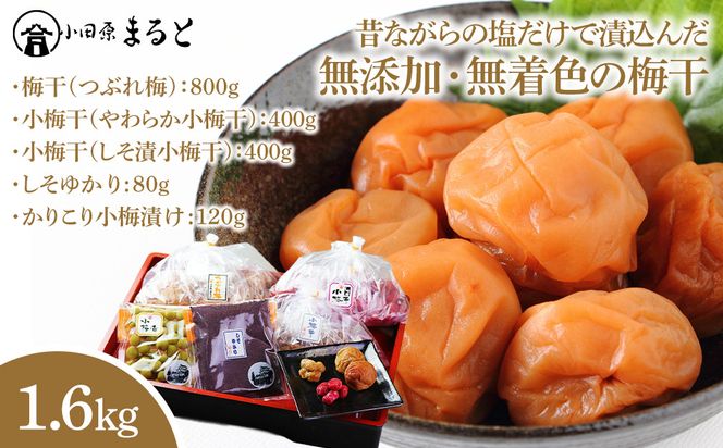 昔ながらの塩だけで漬込んだ無添加・無着色の梅干1.6kg【梅干 梅干し ウメボシ うめぼし 梅干 梅 ウメ お家用 家庭用 国産 無添加 無着色 神奈川県 小田原市 】 142069_AD005
