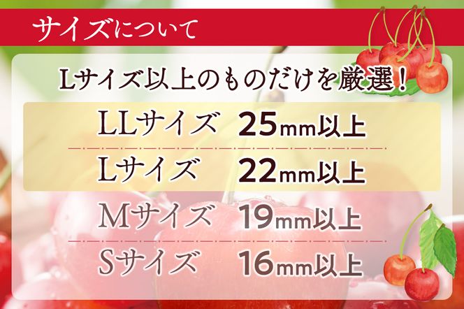 FYN6-255 ≪2026年先行予約≫山形県産 さくらんぼ 品種おまかせ(佐藤錦・紅秀峰など) 700g(350g×2) 秀/L以上 バラパック詰め 2026年6月中旬頃より発送 果物 くだもの フルーツ 夏果実 サクランボ チェリー 桜桃 高級 化粧箱 ギフト箱 贈り物 贈答 ギフト プレゼント 自宅 家庭 産地直送 山形県 西川町 月山