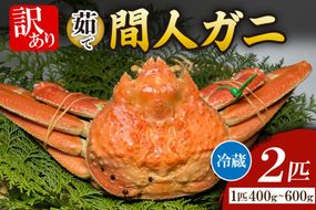 間人漁港仲買人の丸友鮮魚三代目・自慢の間人ガニ訳アリ≪茹で≫[1匹 400~600g×2匹]　MG00011
