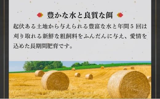 極厚!!肉汁溢れる 石垣島産《黒毛和牛100%》俵ハンバーグ 180g×4個 【先行予約：2024年12月以降配送】 |和牛 牛肉 冷凍 ハンバーグ 人気 おすすめ 国産 国産牛 小分け 八重山食肉センター YC-8