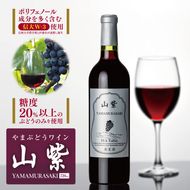 ワイン 日本ワイン やまぶどうワイン 「山紫」 720ml 1本 | ワイン wine 山ぶどう 山葡萄 ぶどう 信州大学 信大W-3 ポリフェノール 伊那ブランド ふるさと納税 返礼品 信州産 長野県 伊那市 【012-70】