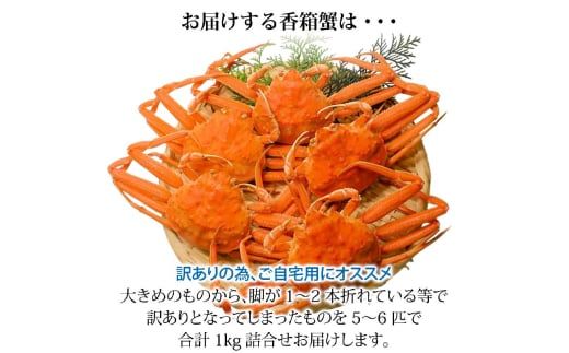 【11月12日～12月15日発送】石川県産 香箱蟹 せいこ 訳あり 中サイズ 1kg 7～9匹 詰合せ F6P-3484