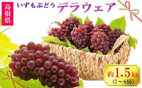 【2026年6月以降発送】いずもぶどうデラウェア 約1.5kg 7-8房 美味しい 先行予約 フルーツ 果物 322032_CG005