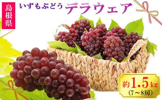 【2026年6月以降発送】いずもぶどうデラウェア 約1.5kg 7-8房 美味しい 先行予約 フルーツ 果物 322032_CG005