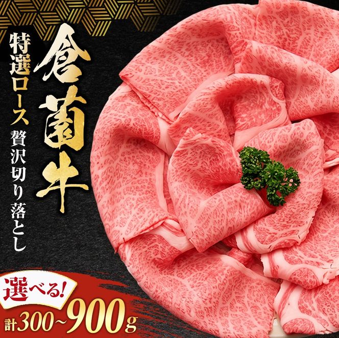倉薗牛特選ロース贅沢切り落とし 300g (倉薗牛 宮崎牛 黒毛和牛 和牛 牛肉 国産牛 ブランド牛 特選ロース ロース肉 牛ロース 牛肉切り落とし)