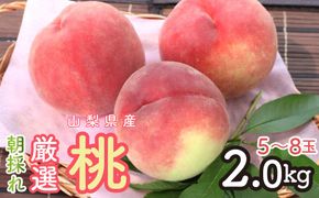 ＜2026年発送＞朝採れ！厳選！山梨県産 桃2Kｇ 5～8玉 SWCM001-2kg