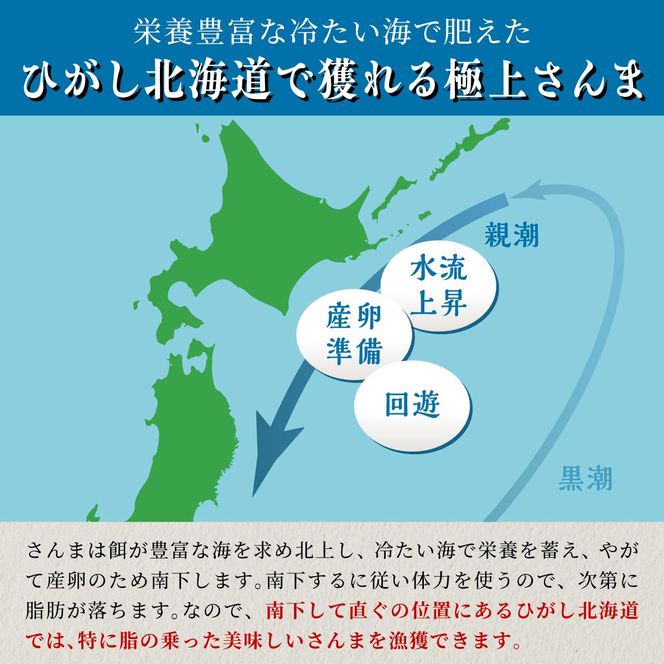 北海道産「刺身さんま」【12枚×3パック（18尾分）】