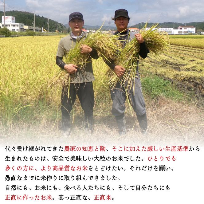 【令和7年産】正直米（特秀）2kg 特別栽培米 【おいしい おこめ 米 お米 精米 こしひかり コシヒカリ コンテスト 受賞 五つ星マイスター 特別米 2kg】(BC201)