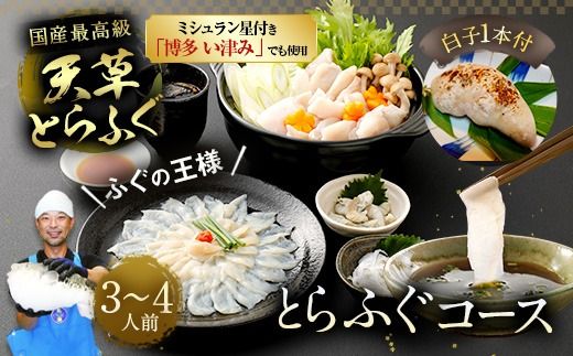 【ミシュラン星付きのプロが愛用】【着日指定不可】【数量限定】【白子付】大皿使用 国産最高級！天草とらふぐコース（3～4人前）【2025年12月下旬～2026年3月下旬まで順次発送予定】ふぐ刺し ふぐ鍋 フグ ふぐ刺身セット 河豚