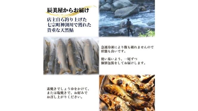 ※岐阜県産天然鮎七宗町産(27cm以上)
