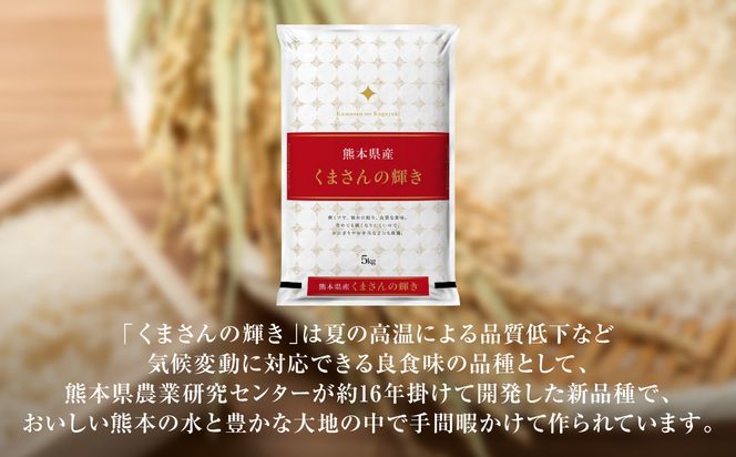 【先行予約】 《令和8年産》 熊本県産 くまさんの輝き 10kg (5kg×2袋) 米 お米 精米 白米 ごはん ご飯 おにぎり お弁当 熊本県 八代市 【2026年11月上旬より順次発送】