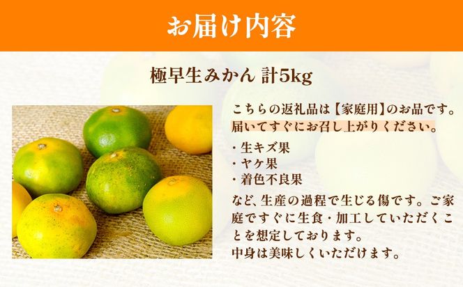 【先行予約】浅野農園の極早生みかん 家庭用5kg ※離島への配送不可（2026年10月上旬～11月中旬頃より順次発送予定）IKTAC012