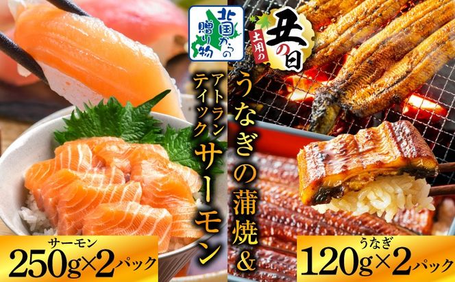 020C503d 【7/26土用の丑の日】五郎藤 国産 関西風 地焼き有頭旨鰻 120g×2尾＆アトランティックサーモン 250g×2パック【食べ比べ】