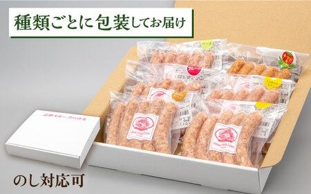 【年内発送】 生 ウインナー 30 本 （ 6種 × 5本 ） 糸島市 / 志摩スモークハウス [AOA006] ウインナー ソーセージ 生 ウインナー 肉 6種類 セット 贈り物