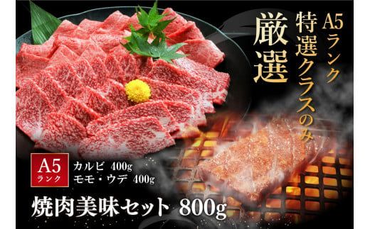 【げんさん】近江牛A5ランク焼肉美味セット【800g】【DG10W1】（滋賀県　近江八幡市）