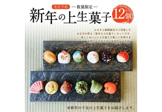 【先行予約・数量限定】新年の上生菓子 12個セット 【年内配送】 【2025年12月25日発送予定】 和菓子 上生菓子 新年 干支 生菓子 菓子 山梨 富士吉田