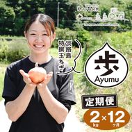 【玉ねぎ定期便12ヶ月】淡路島たまねぎ 歩-AYUMU- 2kg　玉ねぎ