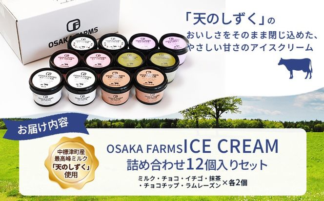 OSAKA FARMS ICE CREAM 詰め合わせ12個入りセット（ミルク・チョコ・イチゴ・抹茶・チョコチップ・ラムレーズン）6種×各2個【51014】