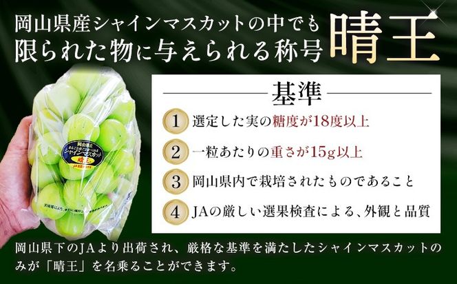 【ふるプレ限定品】 ニューピオーネ シャインマスカット「 晴王 」 詰め合わせ 1.3kg 各1房 約650g 《9月上旬-10月下旬頃発送》---yakage_loc_19_h---
