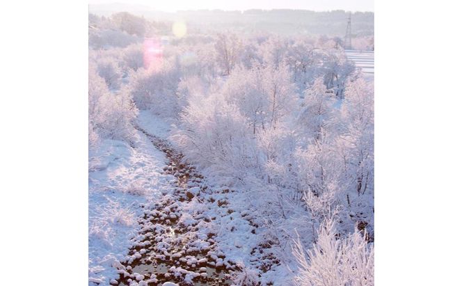 【令和7年産】定期便！魚沼産コシヒカリ【合計90kg】毎月30kg×3回 お米 ブランド米 銘柄米 精米 白米 ご飯 おにぎり お弁当 和食 産地直送 