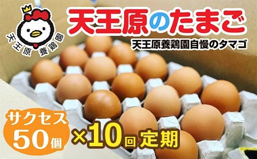 【定期便】10回定期 【天王原のたまご】 サクセス卵 50個入り 【定期便 10回定期便 セット たまご 卵 玉子 タマゴ 濃厚 ハリ 弾力 ボリューム 甘味 旨味 卵黄 風味 生 コク 甘味 卵かけご飯 卵焼き 目玉焼き オムレツ 茶碗蒸し お菓子作り パンの材料】