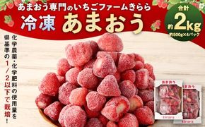 「いちごファームきらら」の 冷凍 あまおう 2kg / 苺 いちご イチゴ 果物 フルーツ デザート おやつ お取り寄せ 冷凍
