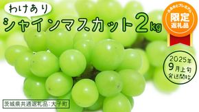 【ふるプレ限定品】【 訳あり 】 シャインマスカット 2kg 【2025年9月上旬発送開始】(茨城県共通返礼品：大子町)  ぶどう 葡萄 ブドウ マスカット フルーツ 果物 贈答用 ギフト 贈り物
