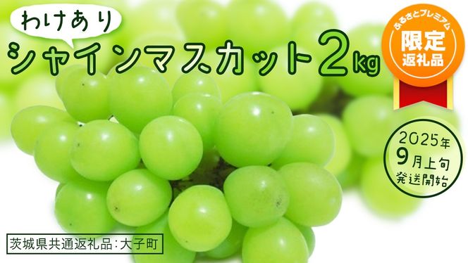 【ふるプレ限定品】【 訳あり 】 シャインマスカット 2kg 【2025年9月上旬発送開始】(茨城県共通返礼品：大子町)  ぶどう 葡萄 ブドウ マスカット フルーツ 果物 贈答用 ギフト 贈り物
