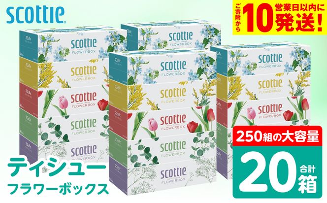 【スコッティ】 ティシュー フラワーボックス 250組 20箱 ティッシュ 日用品 生活必需品 消耗品 紙 まとめ買い 備蓄 防災備蓄 デザインボックス ストック 新生活 防災 生活用品 日用消耗品 箱ティッシュ
