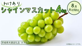 【 訳あり 】 シャインマスカット 4kg 【2026年8月発送開始】(茨城県共通返礼品：大子町) ぶどう 葡萄 マスカット フルーツ 果物 ワケあり ご自宅用 ご家庭用 自分用