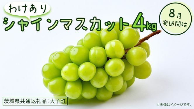 【 訳あり 】 シャインマスカット 4kg 【2026年8月発送開始】(茨城県共通返礼品：大子町) ぶどう 葡萄 マスカット フルーツ 果物 ワケあり ご自宅用 ご家庭用 自分用