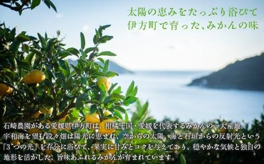 【先行予約】【数量限定】不知火5kg（石崎農園）※離島への配送不可 （2026年2月10日より順次発送予定） IKTAG002 