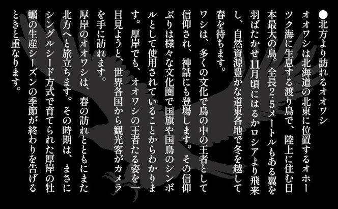 北海道 厚岸産 大鷲牡蠣 10個 カキ 牡蠣 殻牡蠣 魚貝類 海鮮 海の幸 生牡蠣 カキえもん 生食用牡蠣 殻付かき つまみ お酒のあて 