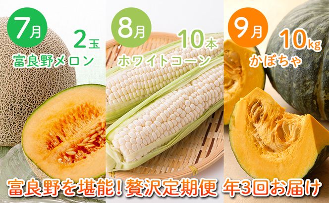 2026年夏～発送 富良野を堪能！贅沢 定期便 年3回  北海道 富良野産 とうもろこし メロン かぼちゃ 野菜 ふらの とうきび