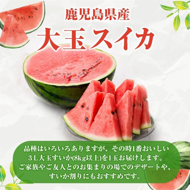 ＜先行予約受付中！2026年6月中旬以降順次発送予定＞鹿児島県産 大玉スイカ(3Lサイズ・1玉) 国産 果物 スイカ すいか 西瓜 フルーツ スイーツ スムージー ジュース【松永青果】akn053-15