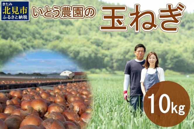 【予約：2024年10月中旬から順次発送】いとう農園の玉ねぎ 10kg ( 玉葱 タマネギ 野菜 期間限定 数量限定 10キロ )【181-0001】