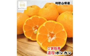 【先行予約】極甘 柑橘有田育ちの 濃厚 ポンカン（家庭用）約3kg+200g(傷み補償分)　※2027年1月上旬～3月上旬に順次発送 ※着日指定不可【ard155D】