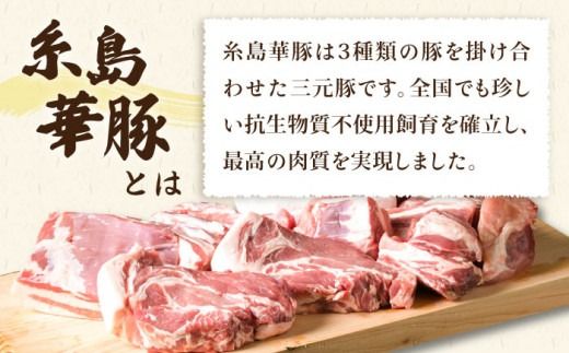 【 盛り合わせ 】 糸島華豚 ブロック 肉 4品 盛合せ セット 約2.8kg 糸島 / 糸島ミートデリ工房 [ACA022] 豚肉 ブロック 真空 小分け ロース 豚バラブロック 華豚 焼肉 国産 福岡