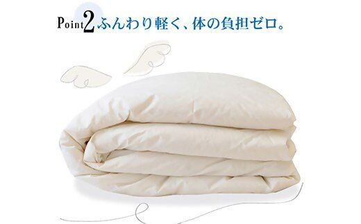 【5.8-2】夏に使う羽毛布団 エクセルゴールドラベル 薄掛け クイーン 210×210cmイングランドダウン90％ 日本羽毛製品共同組合品質推奨ラベル付き 肌掛け 羽毛 掛け布団 立体キルト【251-000266-20】