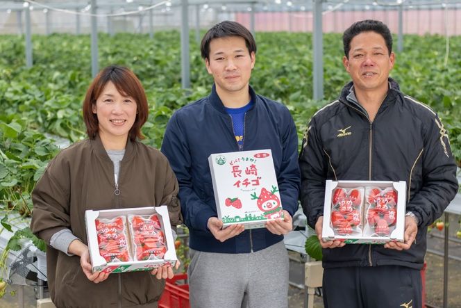 y茧szyԌ蔭zDE178 茧m܎܁y I  zu ߂̂ i2L`3Ljv 260g × 4pbN 1`4ɂ͂