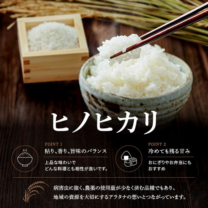 食べてみたいお米 Alatana 米 「三ツ星」 白米 10kg 精米 お米