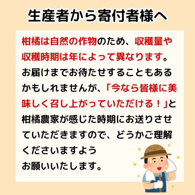 訳あり レモン（イエローレモン） 3kg りのか 減農薬 レモン イエローレモン 農家直送 こだわり らんきんぐ 柑橘 かんきつ 檸檬 果物 くだもの 果実 国産 フルーツ 有名 愛媛 ブランド 愛媛県産 瀬戸内 ビタミン 美味しい 生産者 直送 産直 無添加 レモンサワー ジュース チューハイ 愛媛県 愛南町 みかん職人武田屋