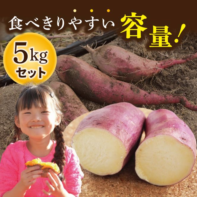 【先行予約】【10月中旬より順次発送予定】熟成さつまいも シルクスイート5kg｜茨城県 大子町 サツマイモ 芋 甘い ホクホク 野菜 数量限定 5キロ 旬（CH003）