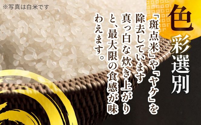 令和6年産　新米　愛知県産あいちのかおり　玄米5kg　特別栽培米　お米　ご飯／戸典オペレーター[AECT026]