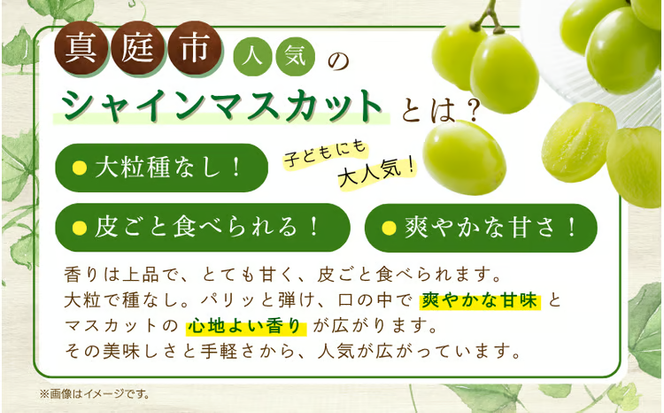 【2026年先行予約】ぶどう 岡山 花笑み農園 『シャインマスカット』約2kg（3～4房） 贈答用 岡山 真庭 シャインマスカット 高級 2kg 贈答 2026 真庭市 大粒 葡萄 果物 フルーツ シャインマスカット 人気 数量限定 9月下旬～ 受付順に発送予定 【hana016-02】