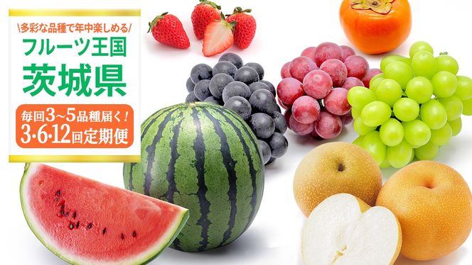 ＼ 選べる回数 ／ 【定期便】フルーツセット（3回 / 6回 / 12回）（茨城県共通返礼品） 茨城県 県産 つくばみらい市 人気 厳選 果物 くだもの 旬 旬の果物 旬のフルーツ 上級品 極上 贅沢 極み フルーツ フルーツセット ギフト プレゼント