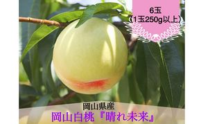 桃 2026年 先行予約 白桃 6玉（1玉250g以上）化粧箱入り もも モモ 岡山県産 国産 フルーツ 果物 ギフト 早生