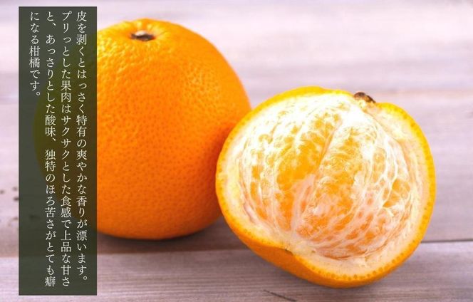 八朔 (はっさく) 玉ぞろい 箱込 5kg(内容量約 4.4kg) 2L L Mサイズのいずれか  秀品 優品 混合 和歌山県産  産地直送［おまけ付き］［みかんの会］ AX233