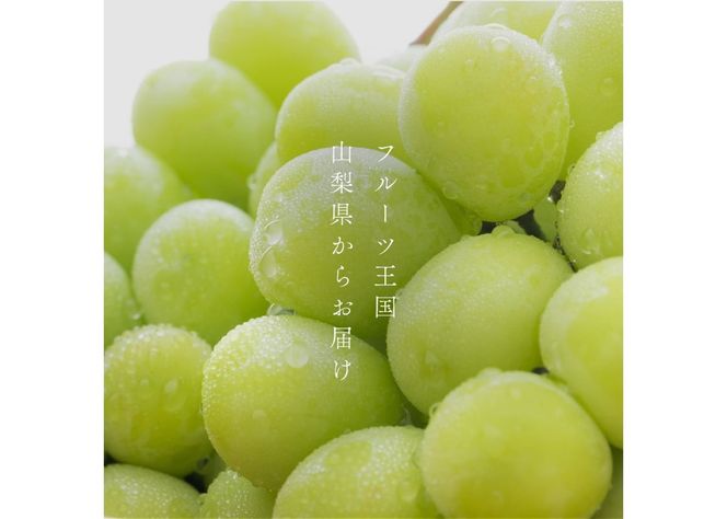 【2026年発送】山梨県産 シャインマスカット 【選べる容量 1.2kg以上/3kg】期間限定 フルーツ 果物 山梨 富士吉田